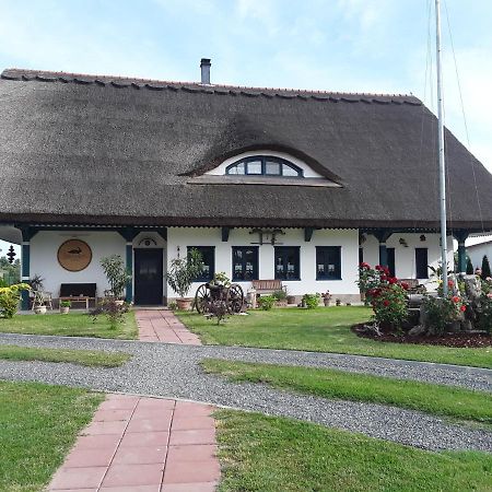 Agropensiunea Beluga Gorgova Exterior foto